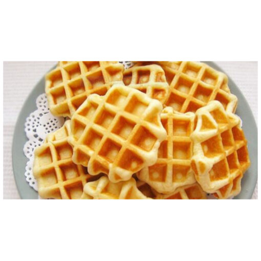 CG-1 Single Plate Waffle Maker 2