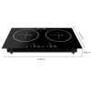 CG-2H 2 Head Induction Cooker